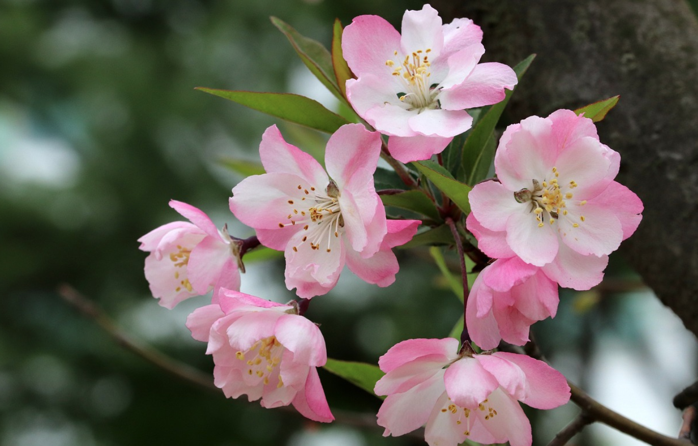 Voici le bilan de l'actualité de mois d'avril 2022