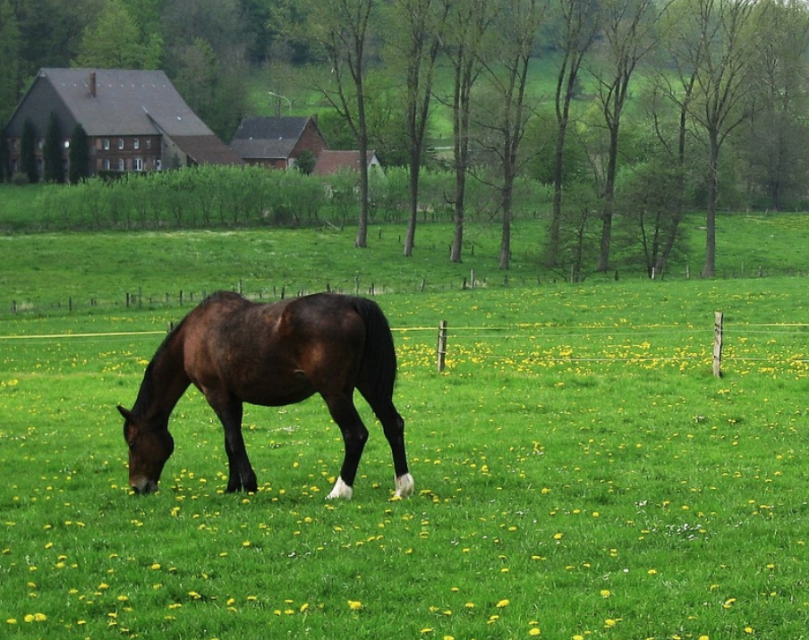 Voici le bilan de l'actualité de mai 2022