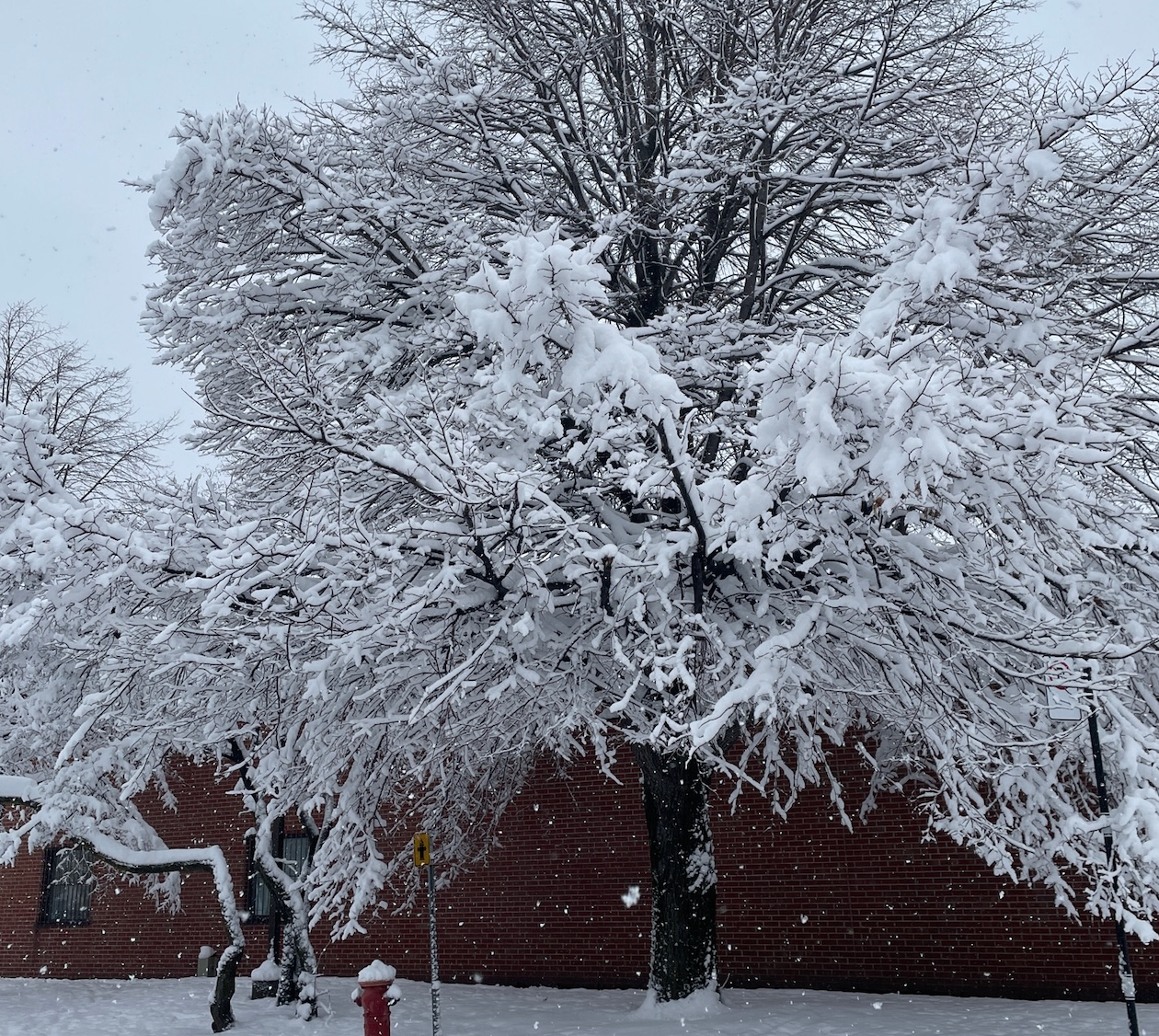 Voici le bilan de l'actualité de février 2022