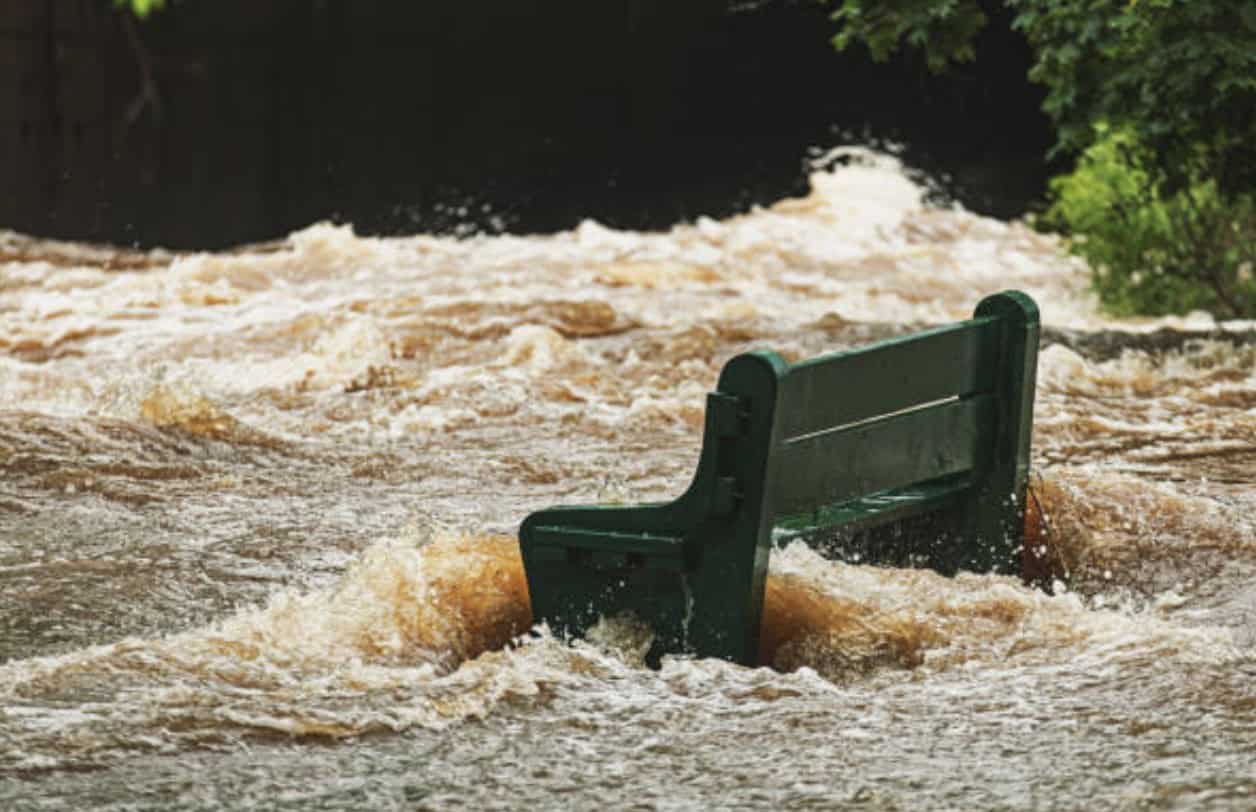 La CMM veut de l'aide pour les victimes de refoulements d’égouts