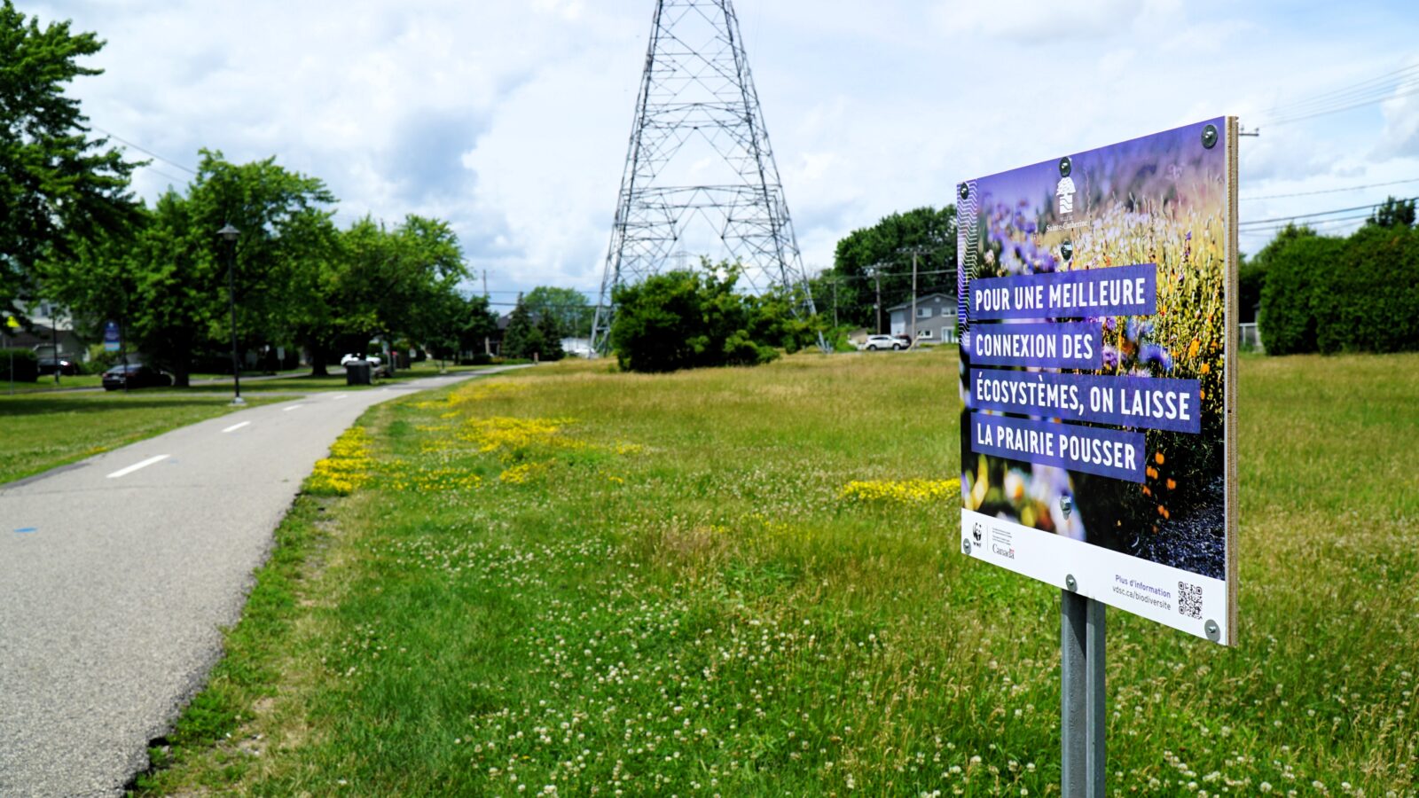 Un corridor de biodiversité pour la Ville de Sainte-Catherine