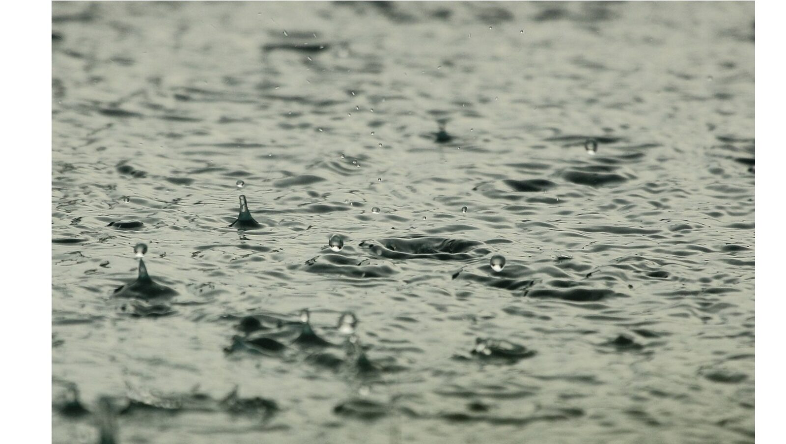 22 M$ de plus pour les entreprises agricoles touchées par les aléas climatiques de 2023