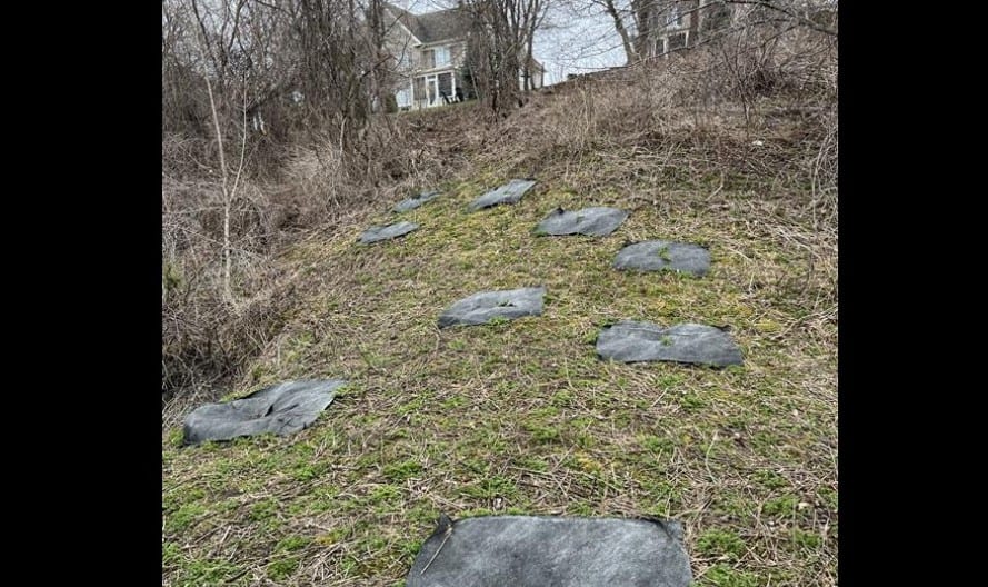 Une centaine d'arbres déracinés au parc de la Gare