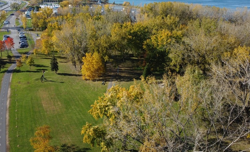 Le CN donne de l’argent à Longueuil pour planter des arbres
