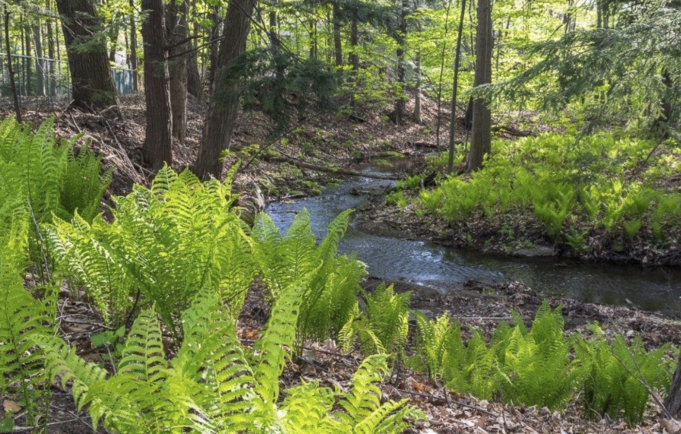 La ville de Saint-Bruno-de-Montarville ajoute des mesures de protection pour ses plans d’eau.  