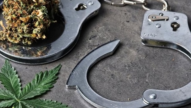 résidents,stupéfiants,fm1033,arrêtées,perquisitions,policières,justice,cadre,comparu,tribunal,enquête,cannabis,police,opération,drone,saisie,gramme