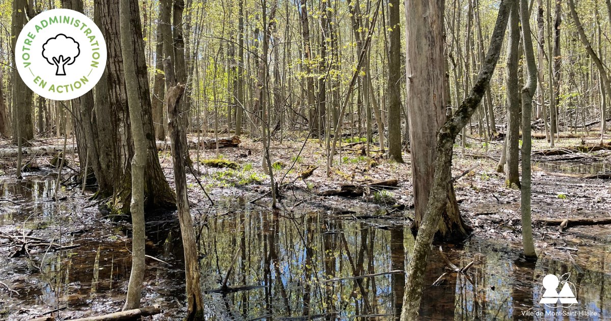 Retirer un terme : cadre cadreRetirer un terme : climat climatRetirer un terme : études étudesRetirer un terme : humides humidesRetirer un terme : intérêt intérêtRetirer un terme : mesures mesuresRetirer un terme : milieux milieuxRetirer un terme : plan planRetirer un terme : plantation plantationRetirer un terme : protection protectionRetirer un terme : restaurer restaurerRetirer un terme : territoire territoireRetirer un terme : Ville VilleRetirer un terme : zones zones