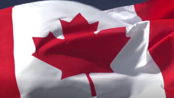 ville,Longueuil,fête,demande,aide,financière,organisation,animation,familiale,parc,empire,défilé,servir,dépenses,patrimoine,budget,montage,cadre