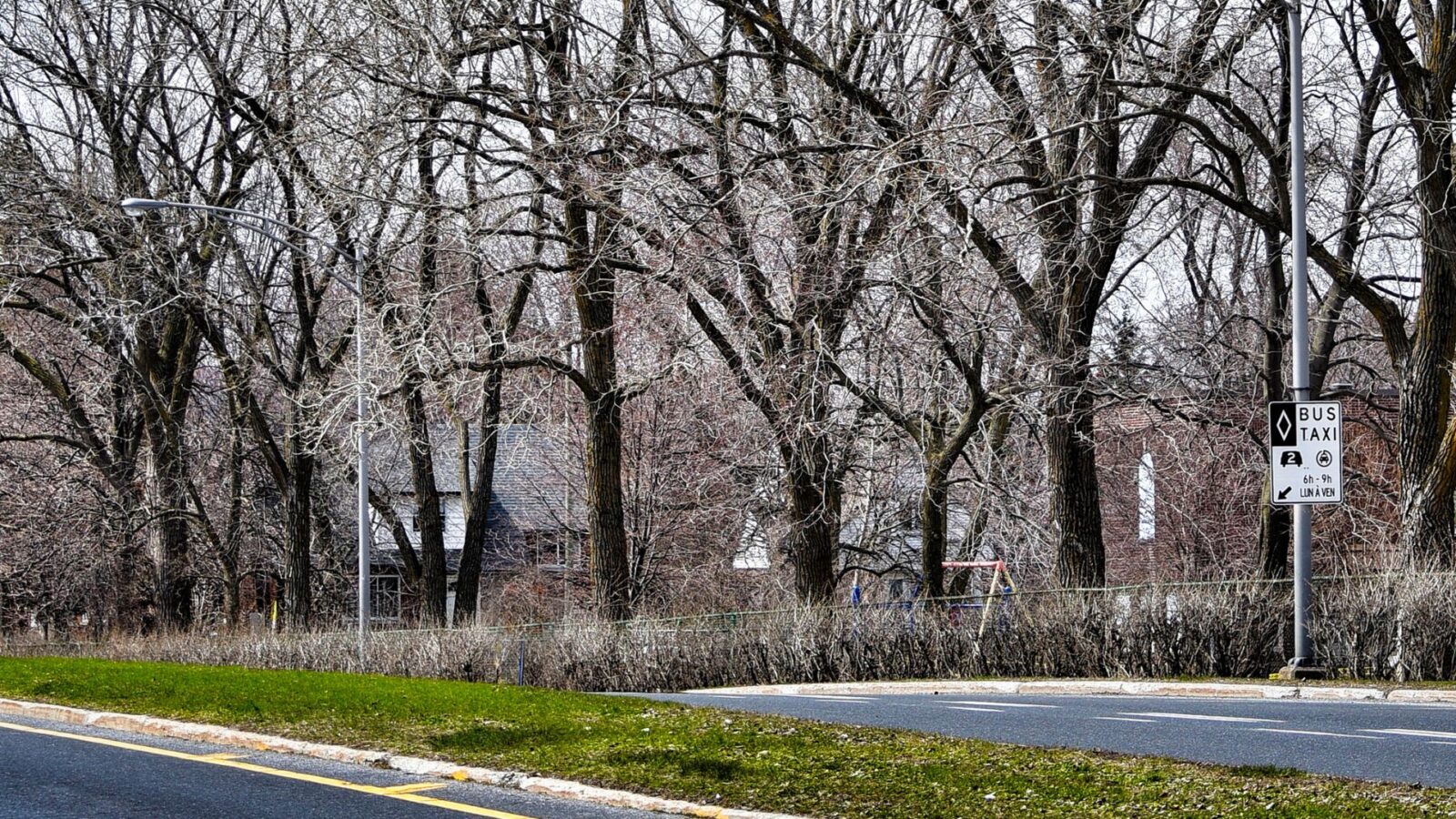 La ville de Saint-Lambert avertit ces citoyens que les interventions sur les arbres situés dans l’emprise publique des rues vont commencer à partir du 8 avril.