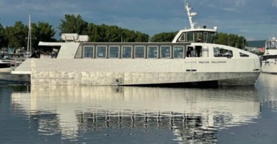 BST,formation,pilotes,bateaux,collision,bureau,Navark,embarcation,formation,conducteurs,éléments,réduire,allure,plaisance,pont,blessures,passagers,bâtiments,vitesse,expérience