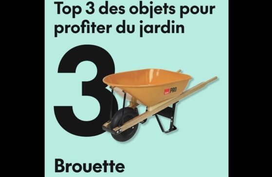ville,projet,application,partage,club,voisins,plateforme,gratuite,foyer,réduction, source,pratiques,climat,vie,quotidien,objets