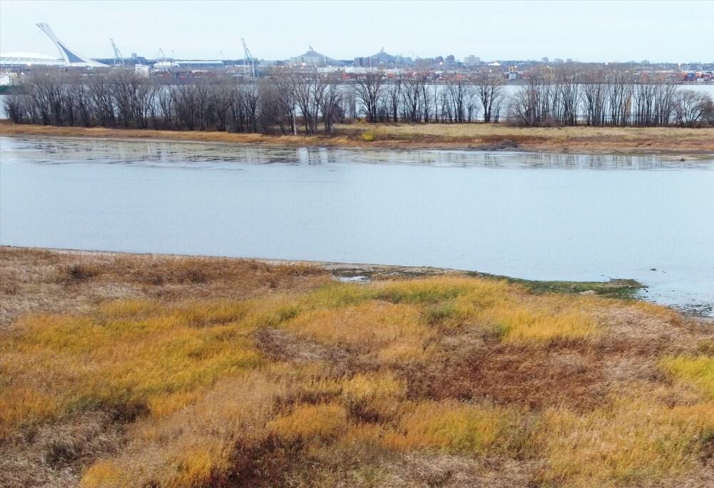 jour,nettoyage,berges,Saint-Laurent,Longueuil,ville,activités,fleuve,cour,pointe,parc,cadre,plastique,geste,environnement,projet,participants,riverain,secteur,ronde,boulevard