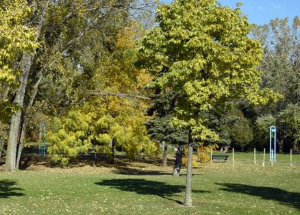 ville,Longueuil,territoire,plan,verdissement,partenariat,société,alliance,organisations,arbres,dollars,phase,année,chaleur,travaux,projets,changements,urbaine,but,moitié