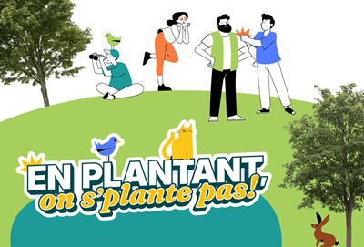 ville,La Prairie,campagne,information,place,arbre,slogan,initiative,bienfaits,sujet,changement,climatique,vidée,résident,maire,verte