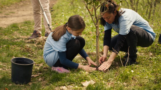 Article: Brossard prépare sa 17e édition du Jour de l’arbre