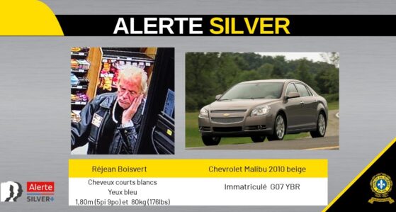 Article: Alerte Silver : la Sûreté du Québec recherche un homme de 67 ans