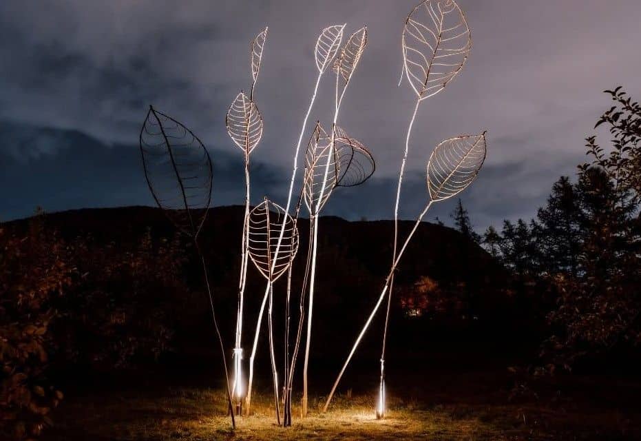 artistes,art,oeuvres,naturels,branches,créations,ville,vues,éclairage,soleil,visite,événement,verger