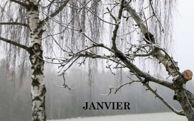 1-JANVIER1