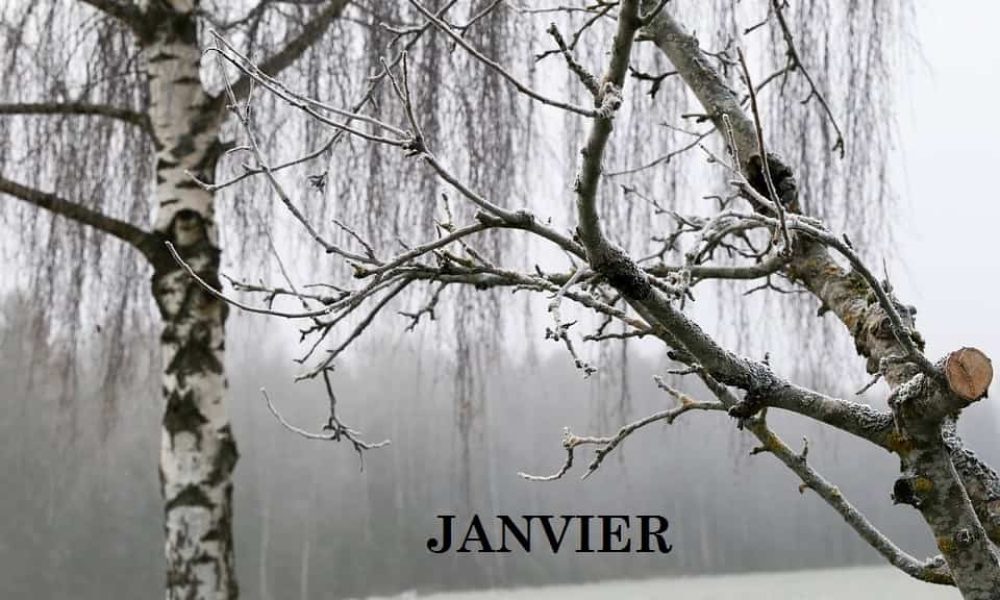 1-JANVIER1