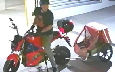 120320877_4001774379839348_3257123848808373721_n