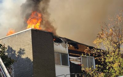 121710385_343378906889327_7164434545241359595_n