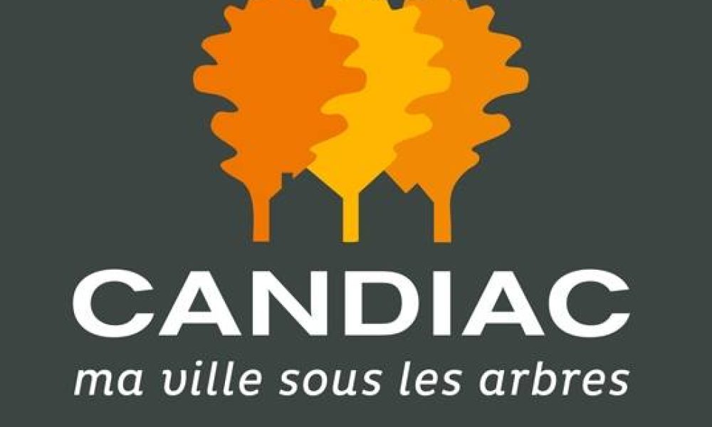 photo, citoyens, rassemblement, ville