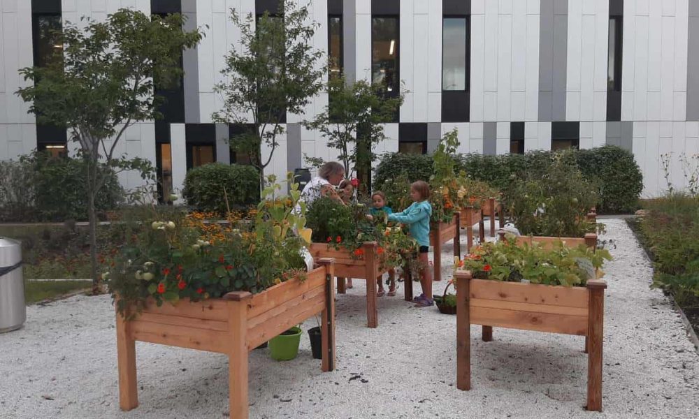 Mon potager à partager