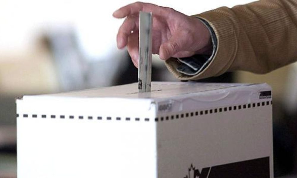 photo, vote, élection, scrutin