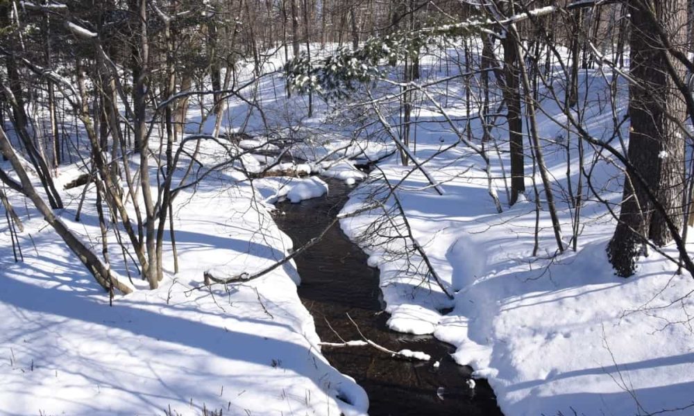 Bilan de l'actualité de février 2023