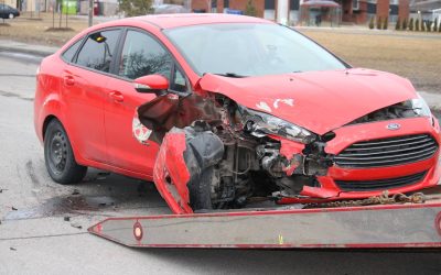 20190331175257_IMG_7152