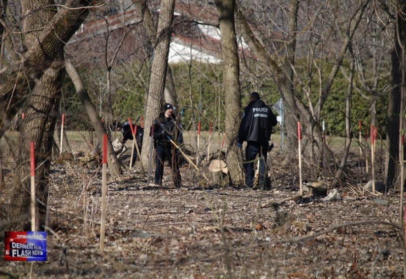 Environ une dizaine de policiers effectuaient des recherches dans le parc du Limousin. Photo: Danny Fortin, Dernière Heure / Flash News