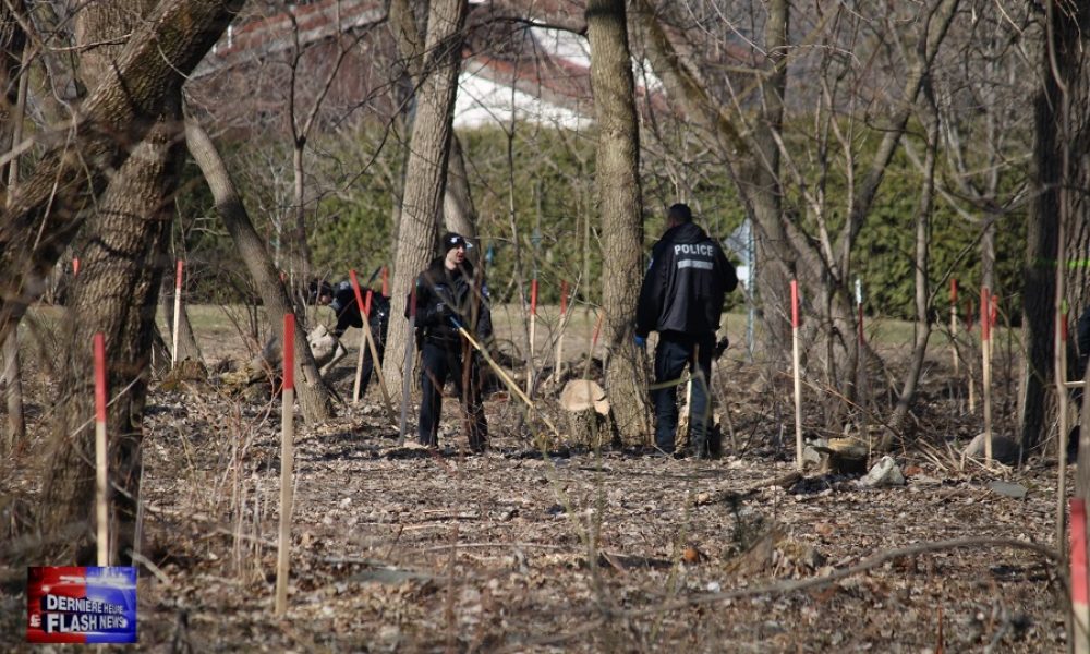 Environ une dizaine de policiers effectuaient des recherches dans le parc du Limousin. Photo: Danny Fortin, Dernière Heure / Flash News