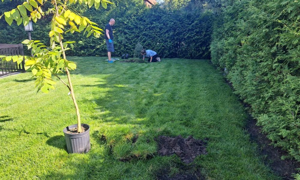 Le projet d’optimisation de la forêt urbaine de Candiac touche à sa fin