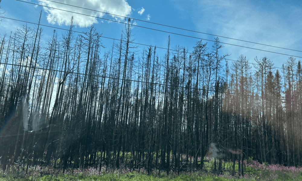 Les assurances risquent d’augmenter à cause des changements climatiques