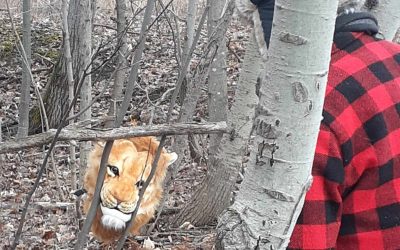 431964067_791751819505349_1365188192156913189_n