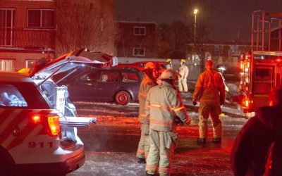 49896979_236559503911263_960542712463884288_n