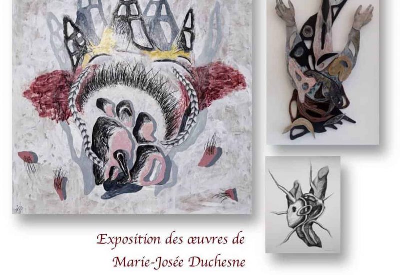 artiste multidisciplinaire Marie-Josée Duchesne.