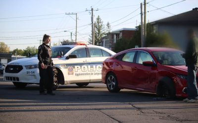 61261678_367349123914423_4064149182212997120_n