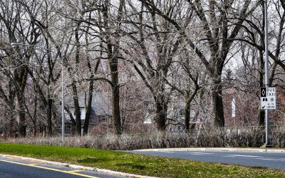 La ville de Saint-Lambert avertit ces citoyens que les interventions sur les arbres situés dans l’emprise publique des rues vont commencer à partir du 8 avril.