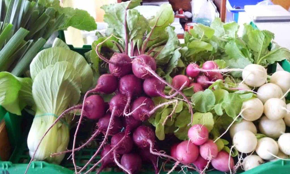 Photo: Ville de Mont-Saint-Hilaire