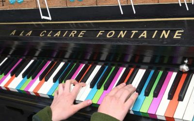 71494096_1005533966283447_4049578668870074368_o