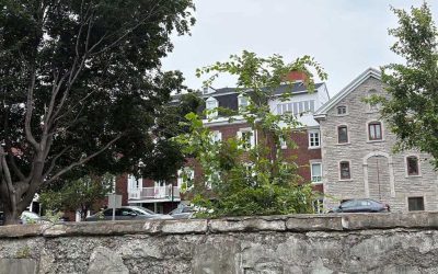Article: Le mur du rempart de La Prairie retrouve sa jeunesse 