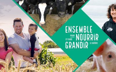 86289945_2609204819326952_4273254166144483328_o