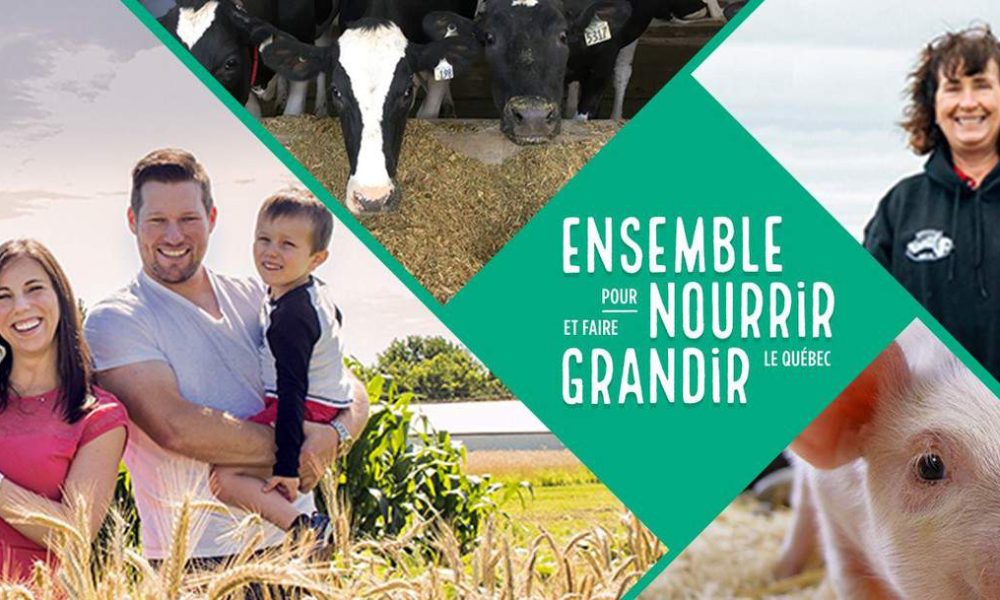 86289945_2609204819326952_4273254166144483328_o