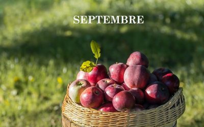 9-SEPTEMBRE