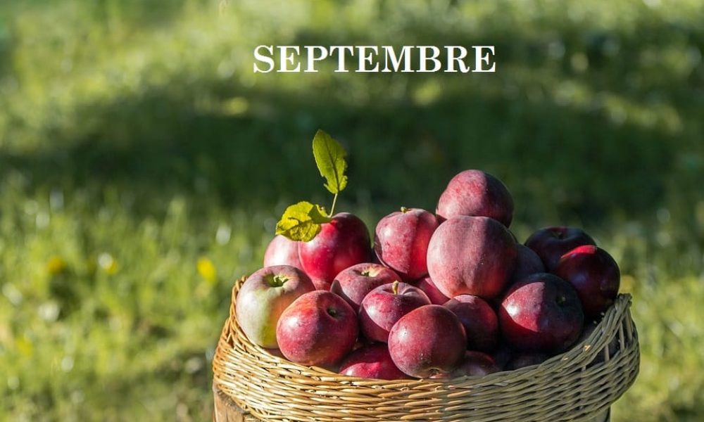 9-SEPTEMBRE