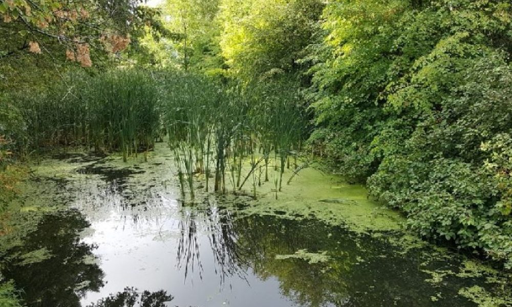 Boucherville atteint enfin l’objectif fixé pour les espaces verts