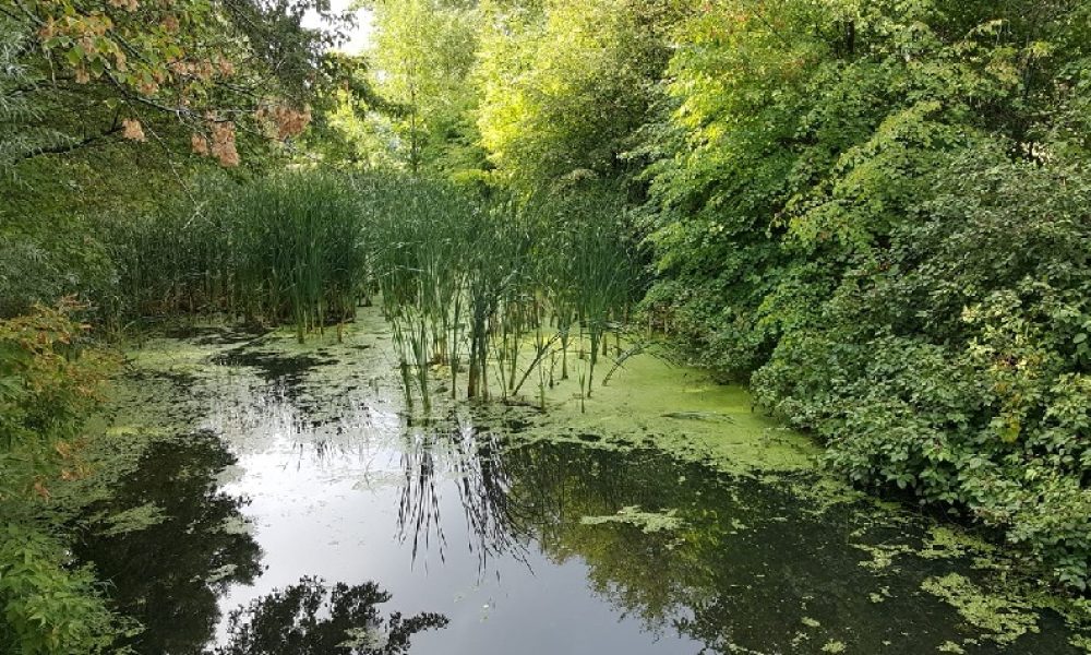 Boucherville achète des terrains