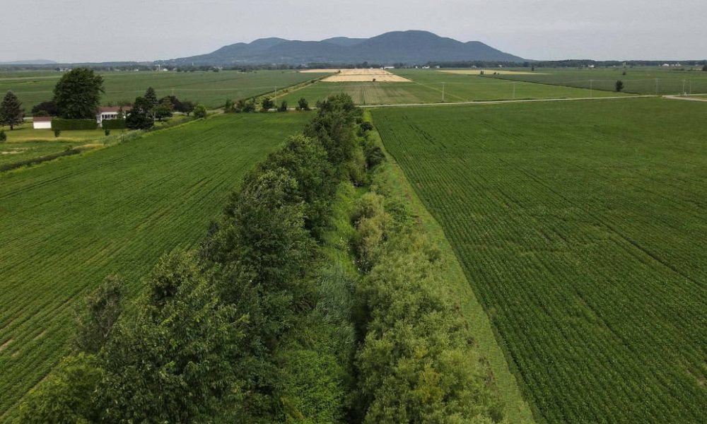 L’UPA demande à Québec et Ottawa de s’entendre et d’agir