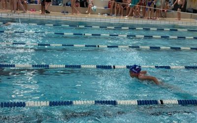 Article: La natation bien présente sur la Rive-Sud   